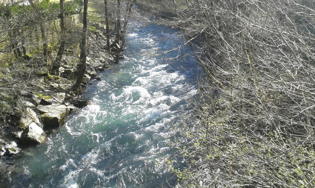 Casa Rural De Alquiler Integro La Cantina De Villarmayor-Asturias Villarmayor  Exteriör bild